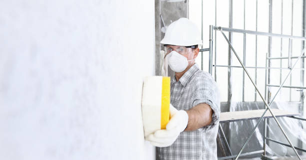 Mold Remediation for Rental Properties in Rushville, IL